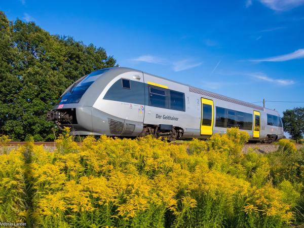 m_image-3 Tourismus Bad Lausick – Touristinformation